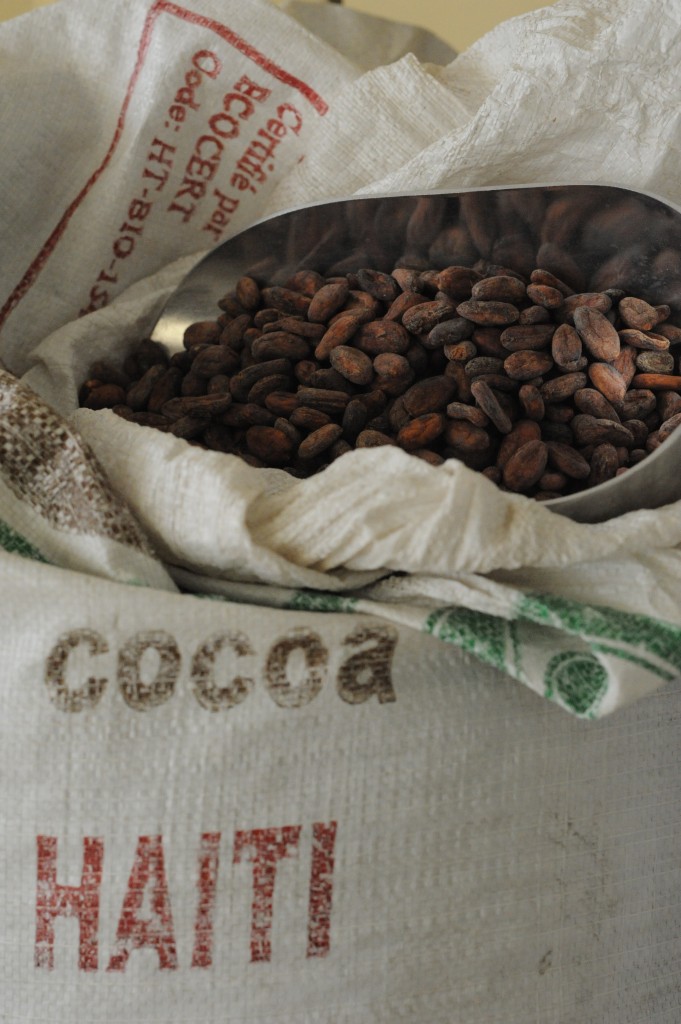 Cacao, business, economic development