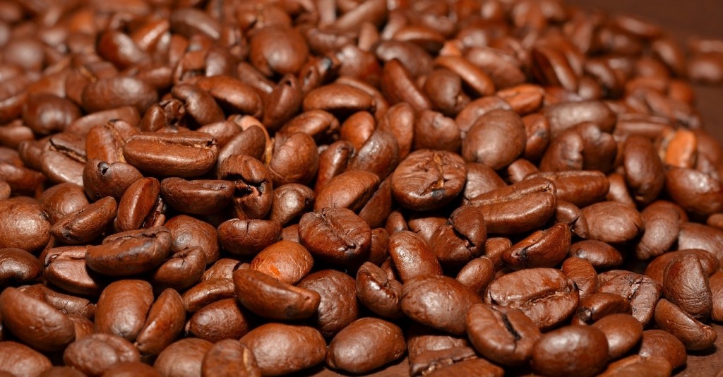 Coffee, agribusiness, Haiti ecosystem